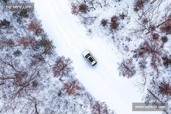 北极圈极限挑战极致滑雪登山之旅勇闯冰雪世界探索未知极寒领域 北极圈极限挑战极致滑雪登山之旅勇闯冰雪世界探索未知极寒领域