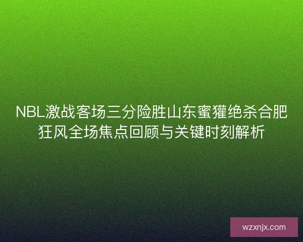 NBL激战客场三分险胜山东蜜獾绝杀合肥狂风全场焦点回顾与关键时刻解析