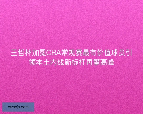 王哲林加冕CBA常规赛最有价值球员引领本土内线新标杆再攀高峰