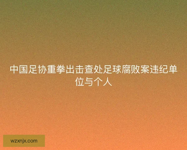 中国足协重拳出击查处足球腐败案违纪单位与个人