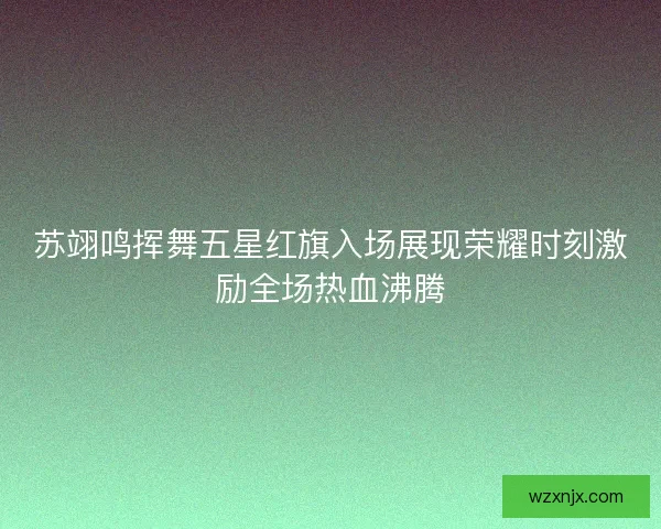 苏翊鸣挥舞五星红旗入场展现荣耀时刻激励全场热血沸腾
