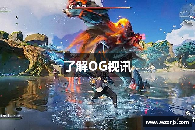 了解OG视讯